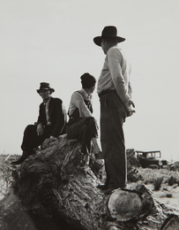 Near Shafter, California, Migratory Laborers, February