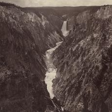 F. Jay Haynes