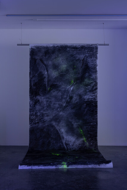 Night Sight — Didem Erbaş (2025)