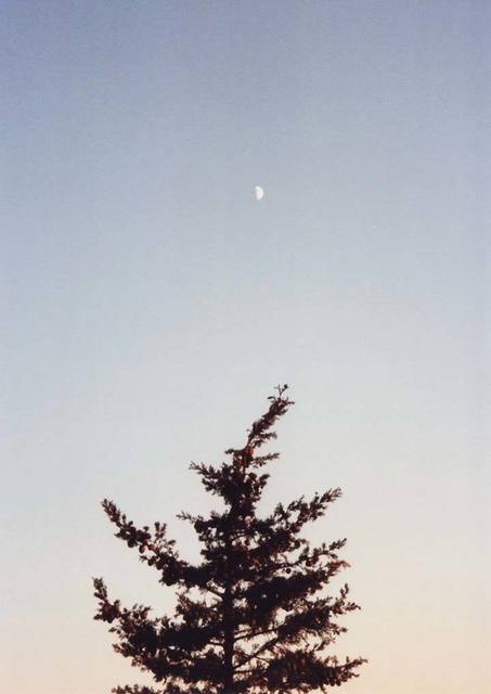 Ryan James MacFarland, ‘Daymoon & Evergreen’, 2010, Photography, Traditional C-Print, Uprise Art