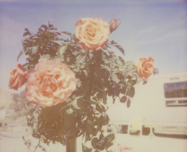 Stefanie Schneider, ‘A Sunny Morning (The Girl behind the White Picket Fence) ’, 2013, Photography, Analog C-Print, hand-printed by the artist on Fuji Crystal Archive Paper, based on a Polaroid, mounted on Aluminum with matte UV-Protection, Instantdreams