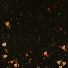 Nancy Friedemann