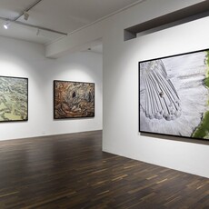 Lina Scheynius - Artworks for Sale & More | Artsy