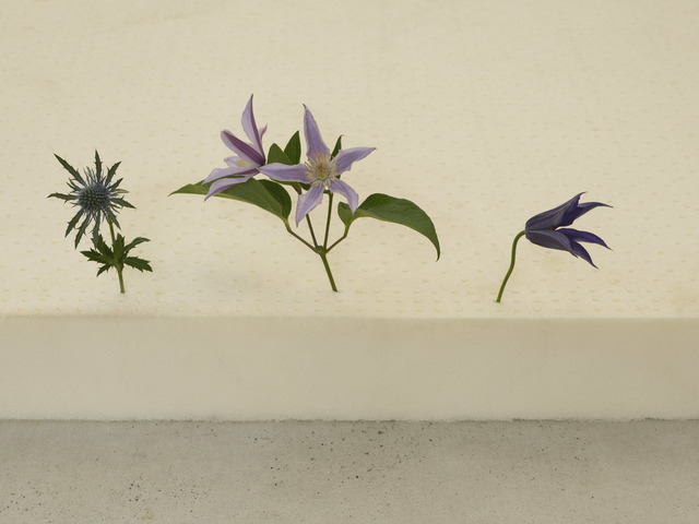 casper sejersen, ‘Three Flowers in the Right Order’, 2019, Archival pigment print on canton palatine paper, Cob