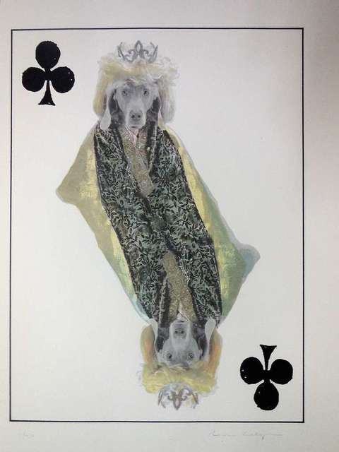William Wegman, ‘Photo Lithograph Royal Flush Queen Dog’, 1990-1999, Print, Lithograph, Lions Gallery