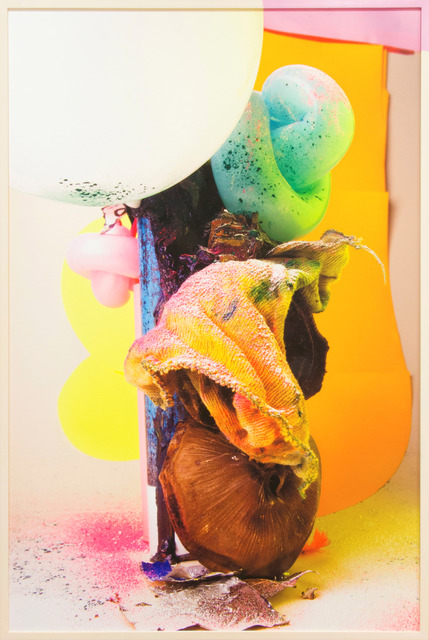 Lorenzo Vitturi, ‘Untitled #3’, 2013-2015, Photography, Inkjet Print on Hahnemühle Bamboo paper, Flowers