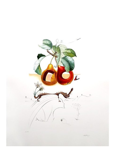 Salvador Dalí, ‘Original Lithograph "Flordali - Holes Fruits" by Salvador Dali’, 1969, Galerie Philia