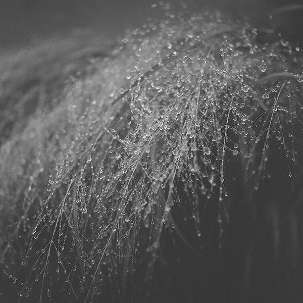 Denise Oehl, ‘Most Beautiful Wispy Drops’, 2018, John Davis Gallery