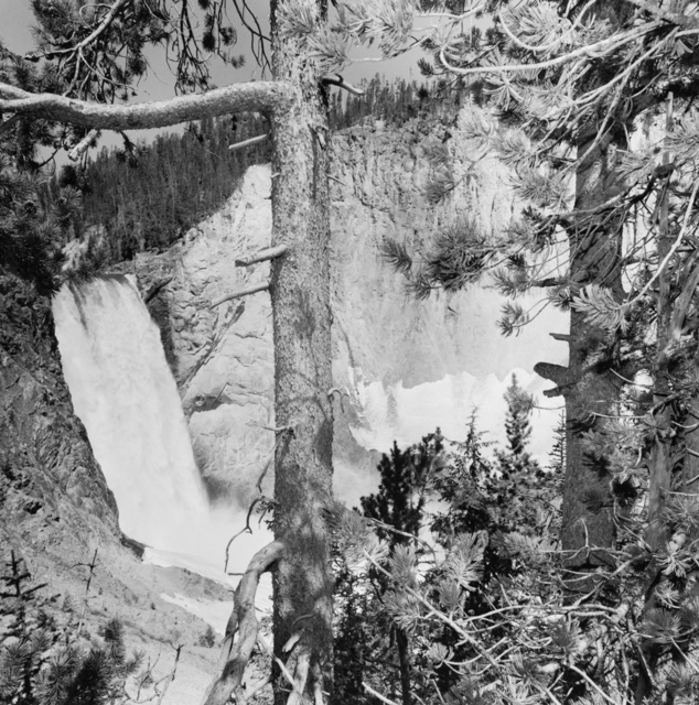 Lee Friedlander, ‘Yellowstone National Park, Wyoming’, 1996, Fraenkel Gallery