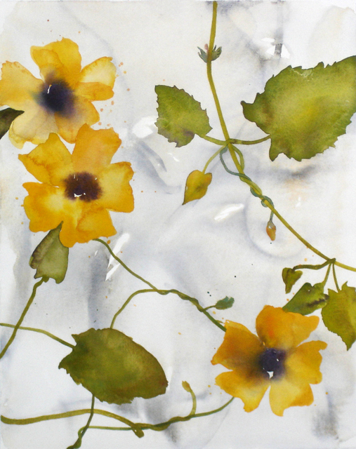 Ellen Little, ‘Thunbergia XI’, 2018, Kala Art Institute