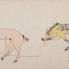 attributed to Skunk, Lakota