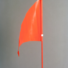 David Penny