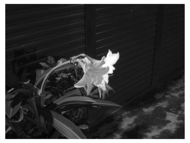 Lee Lichung, ‘The Dark #05’, 2013, Photography, Inkjet print, Acid-free paper, Powen Gallery