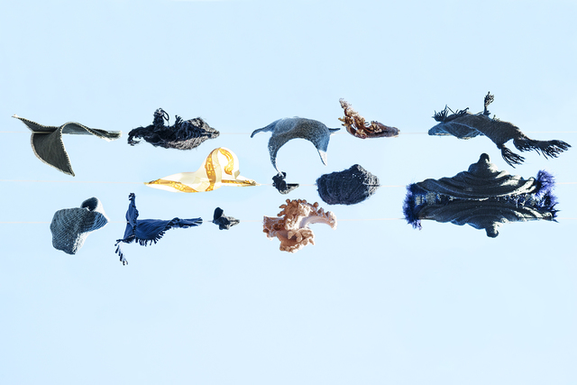 Sally Gall, ‘Oceania’, 2015, Photography, Archival Pigment print, Jackson Fine Art