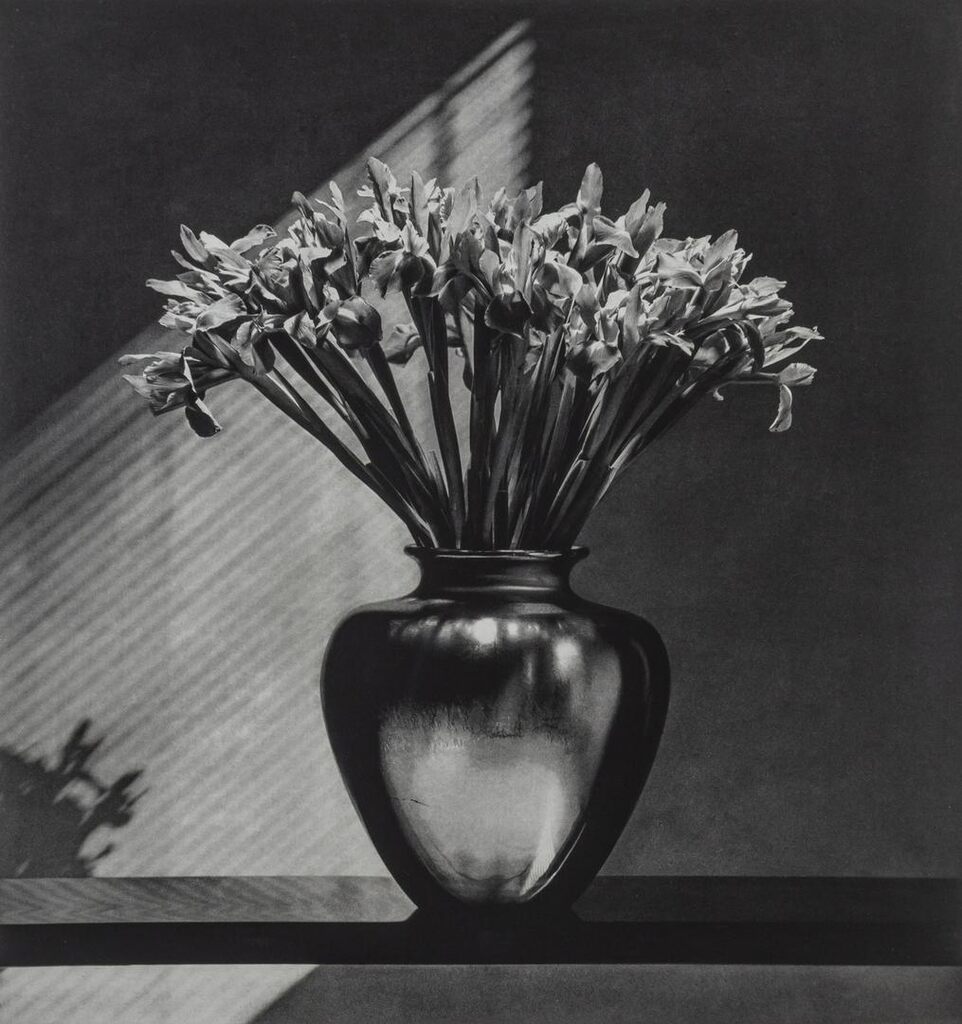 Robert Mapplethorpe - Iris