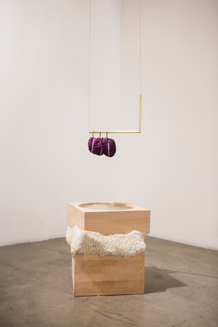 An Operator with Measured Endeavors — Gülşah Mursaloğlu (2018)