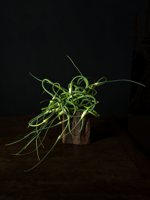 Han Feng, ‘The Gift No. 17’, 2020, Photography, Pigment Print, Robert Klein Gallery