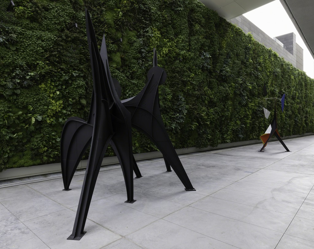 Installation view, “Alexander Calder: Motion Lab,” SFMOMA, San Francisco, CA, 2016. Photo: Katherine Du Tiel Installation view, “Alexander Calder: Motion Lab,” SFMOMA, San Francisco, CA, 2016. Photo: Katherine Du Tiel