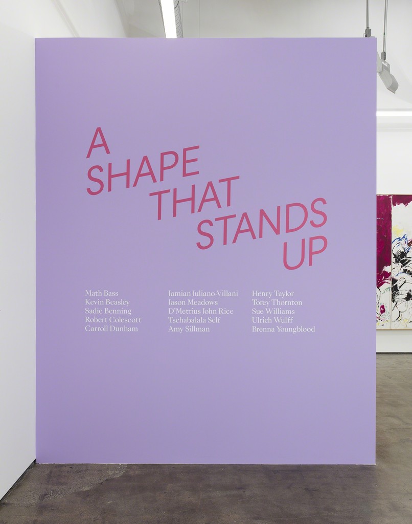 Installation view, Art + Practice, Los Angeles, March 19 – June 18, 2016. Photo: Brian Forrest. Installation view, Art + Practice, Los Angeles, March 19 – June 18, 2016. Photo: Brian Forrest.