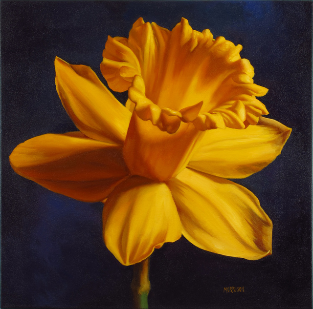 Margaret Morrison, ‘Daffodil’, 2014, Woodward Gallery