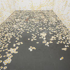 Christopher Chiappa