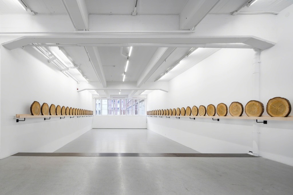 Installation view Xavier Veilhan at Andréhn-Schiptjenko, 2015. Installation view Xavier Veilhan at Andréhn-Schiptjenko, 2015.