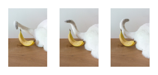 Kathrin Sonntag, ‘Conversation Piece’, 2012-2016, Photography, Inkjet prints, Kadel Willborn