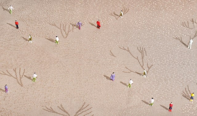 Adele Venter, ‘Forest Walk’, 2017, Photography, Illford Gloss | Photography, Recreational Enterprises & Perseus Gallery