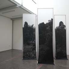 Chong Weixin