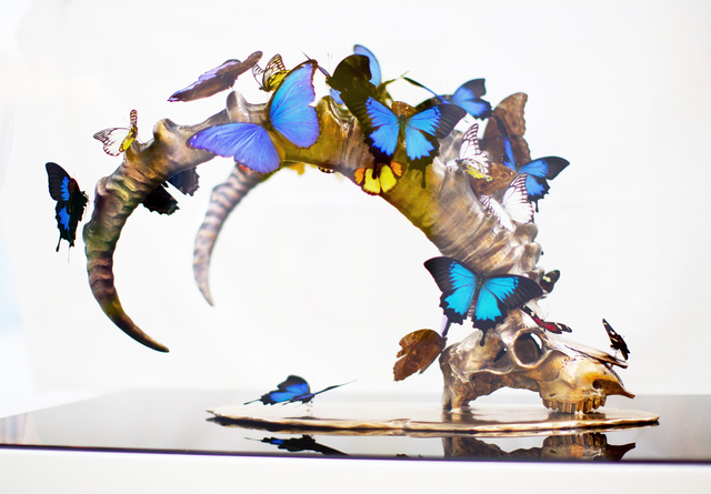 SN, ‘IBEX’, 2017, Sculpture, Mounted butterflies on a bronze Sculpture, Eden Fine Art
