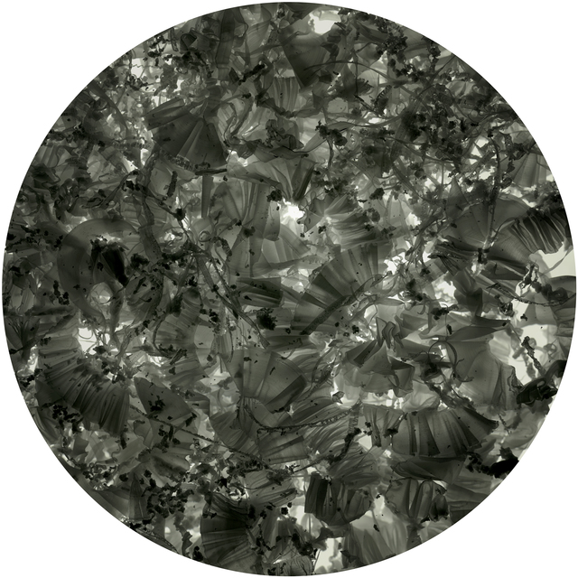 Laurent Lamarche, ‘C3H6-PLEX-01’, 2011, Art Mûr