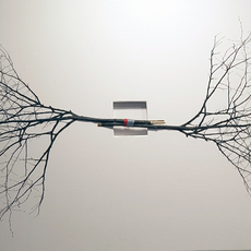 Kwansoo Kim