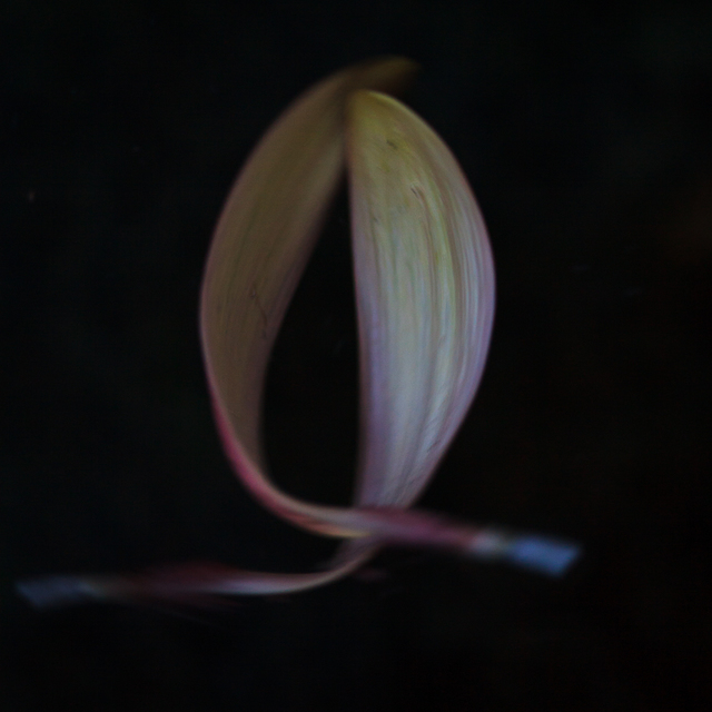 image-zoom