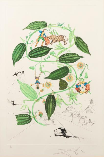 Salvador Dalí, ‘Passiflora laurigera (from Flora dalinae)’, 1968, Print, Color photolithograph with engraved remarque, Hindman