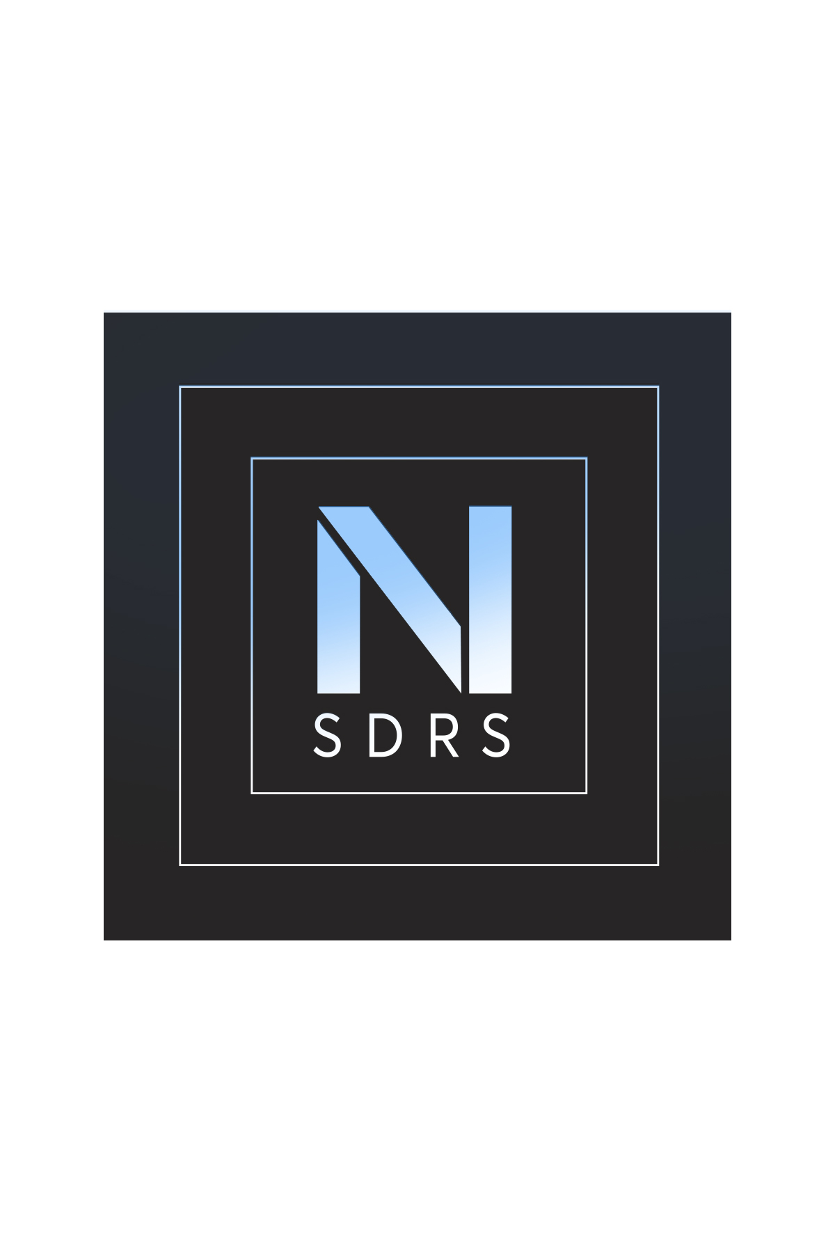 Art NSDRS logo