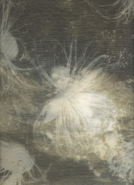 Chaco Terada, ‘Nocturne VII’, 2015, photo-eye Gallery
