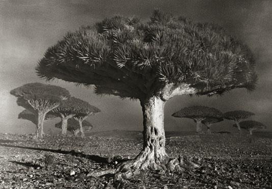 Beth Moon