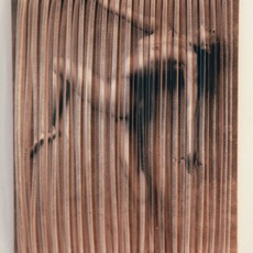 Ilse Haider