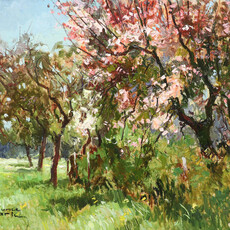 Maurice Martin