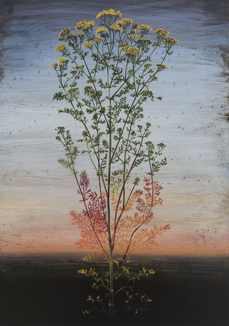 Michael Canning, ‘Invisible Photographs’, 2014-2017, Waterhouse & Dodd