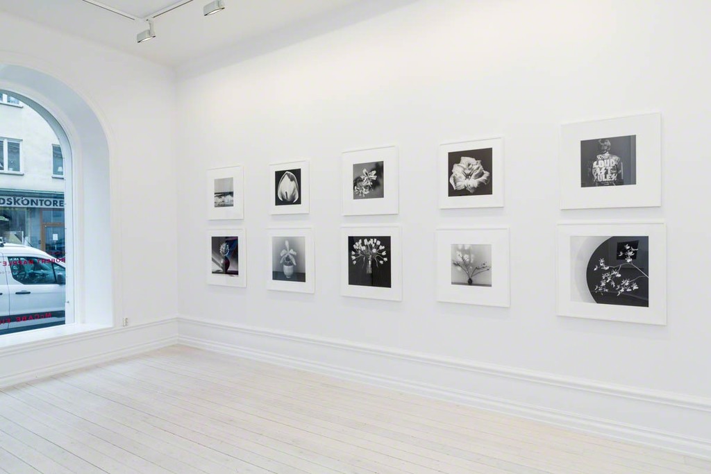 Robert Mapplethorpe Icon Robert Mapplethorpe Icon