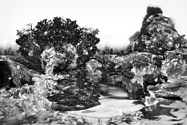 Holly King, ‘Almost Paradise’, 2012, Art Mûr