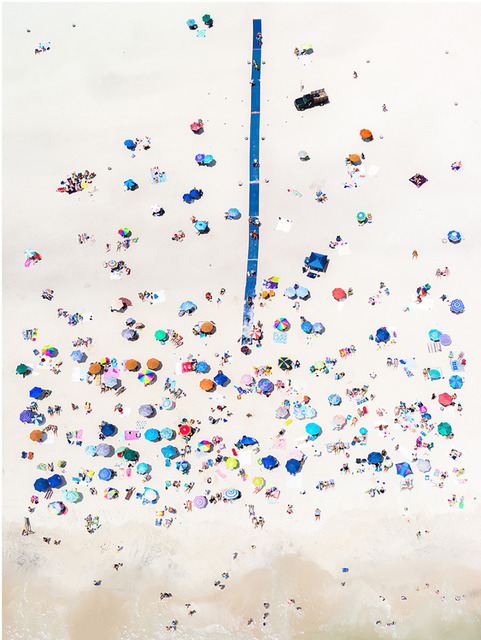 Antoine Rose, ‘Insectarium path’, 2013, Photography, Photography, FREMIN GALLERY