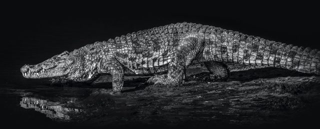 David Yarrow, ‘10,000 BC’, 2019, Photography, Digital Pigment Print on 315gsm Hahnemuhle Rag Baryta Paper, Isabella Garrucho Fine Art
