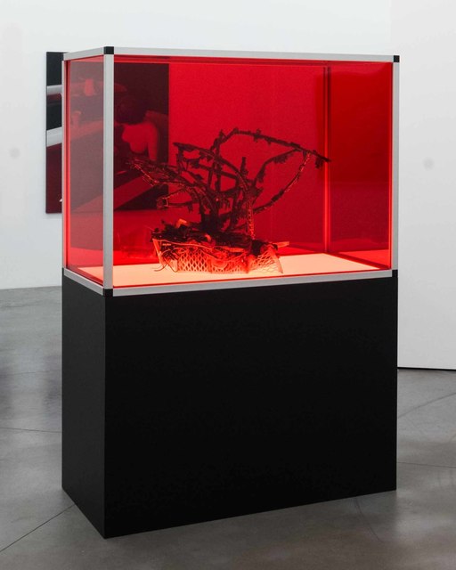 Joachim Coucke, ‘LIBRA (Specimen II)’, 2020, Installation, Mdf plinth, aluminium construction frame, plexiglass, led tile, plastic bin, conveyor belt parts, various computer components, cables, metal and plastic parts, Tatjana Pieters