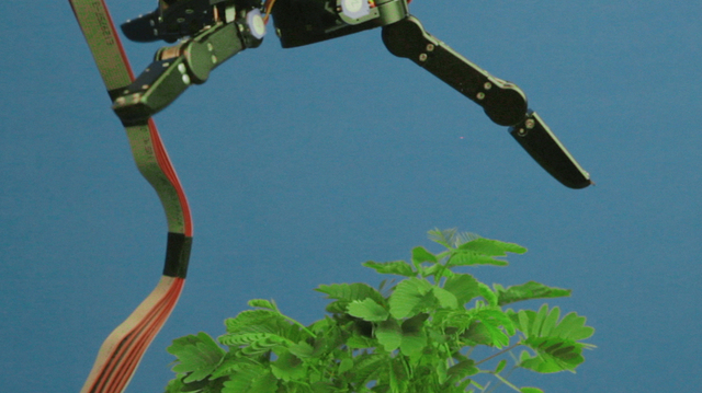 Pedro Neves Marques, ‘The Pudic Relation Between Machine and Plant’, 2016, Umberto Di Marino
