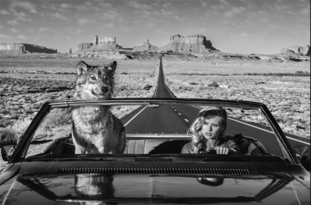 David Yarrow, ‘Road Trip ’, 2018, Maddox Gallery