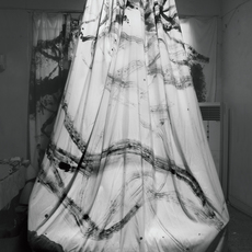 Shen Aiqi