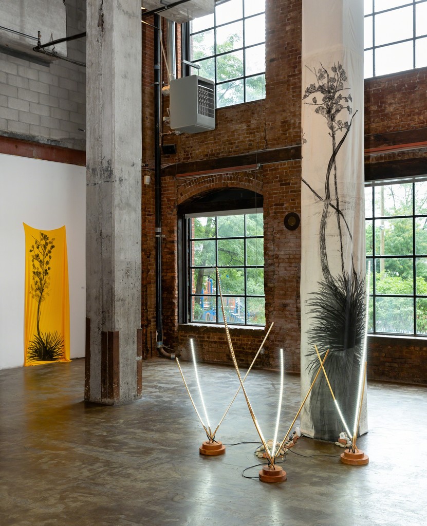 Paula Wilson, Spread Wild: Pleasures of the Yucca, September 29–November 4, 2018
Installation view courtesy of Smack Mellon. Photo by Etienne Frossard. Paula Wilson, Spread Wild: Pleasures of the Yucca, September 29–November 4, 2018
Installation view courtesy of Smack Mellon. Photo by Etienne Frossard.