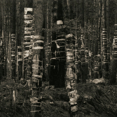 Pentti Sammallahti, Khamar-Daban, Buryatia (1991)